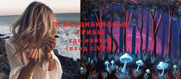эйфоретик Осташков
