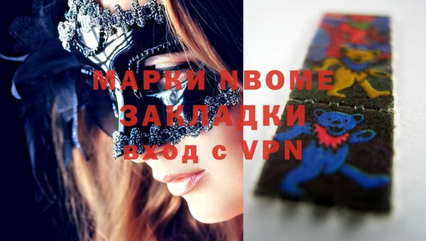 стафф Осинники