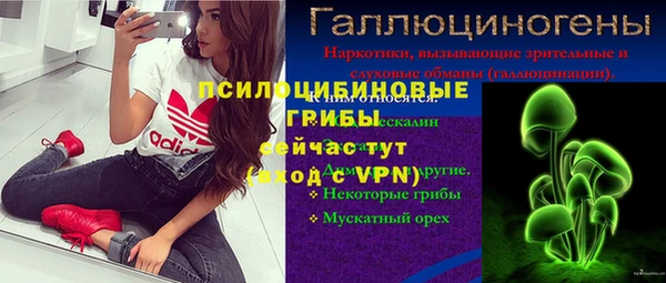 ешки Няндома