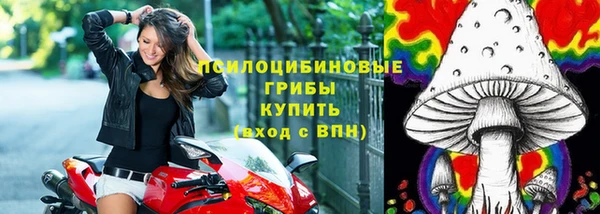 стафф Осинники