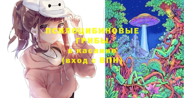 эйфоретик Осташков