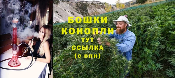 2c-b Нягань