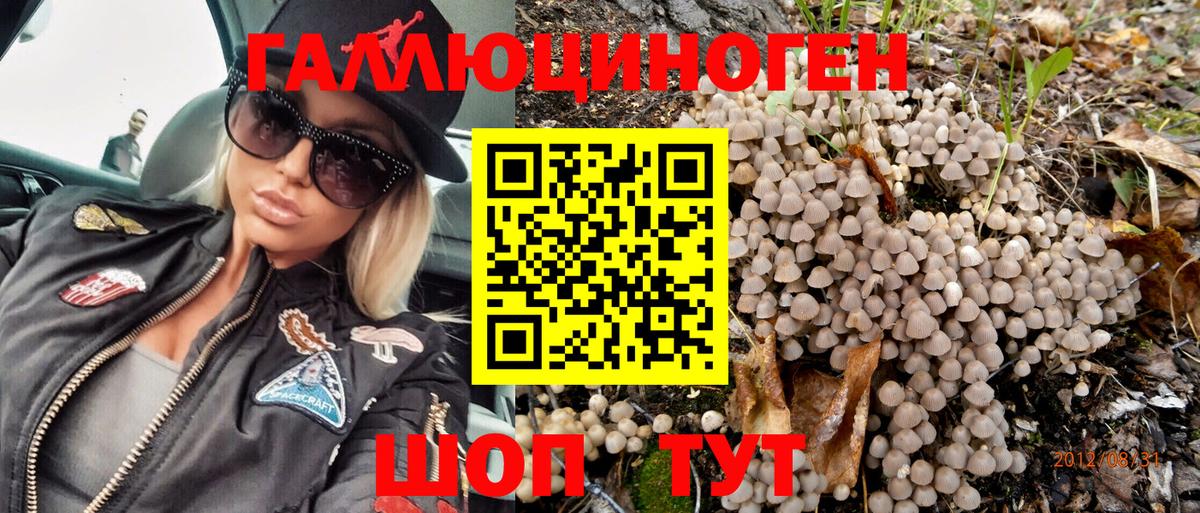 где купить наркоту  Владимир  Галлюциногенные грибы Psilocybine cubensis 