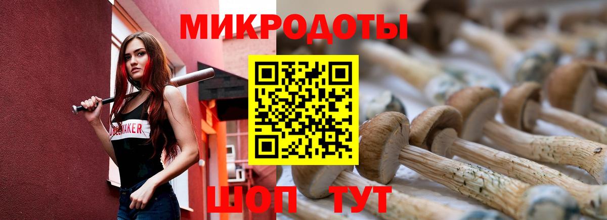 Галлюциногенные грибы GOLDEN TEACHER  Псилоцибиновые грибы Psilocybine cubensis  Владимир  Вход с VPN 