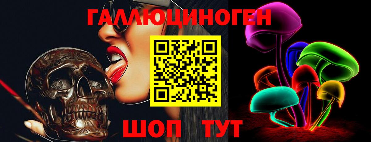 Псилоцибиновые грибы прущие грибы  Владимир 